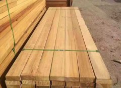 【進口案例】南美菠蘿格進口報關(guān)代理